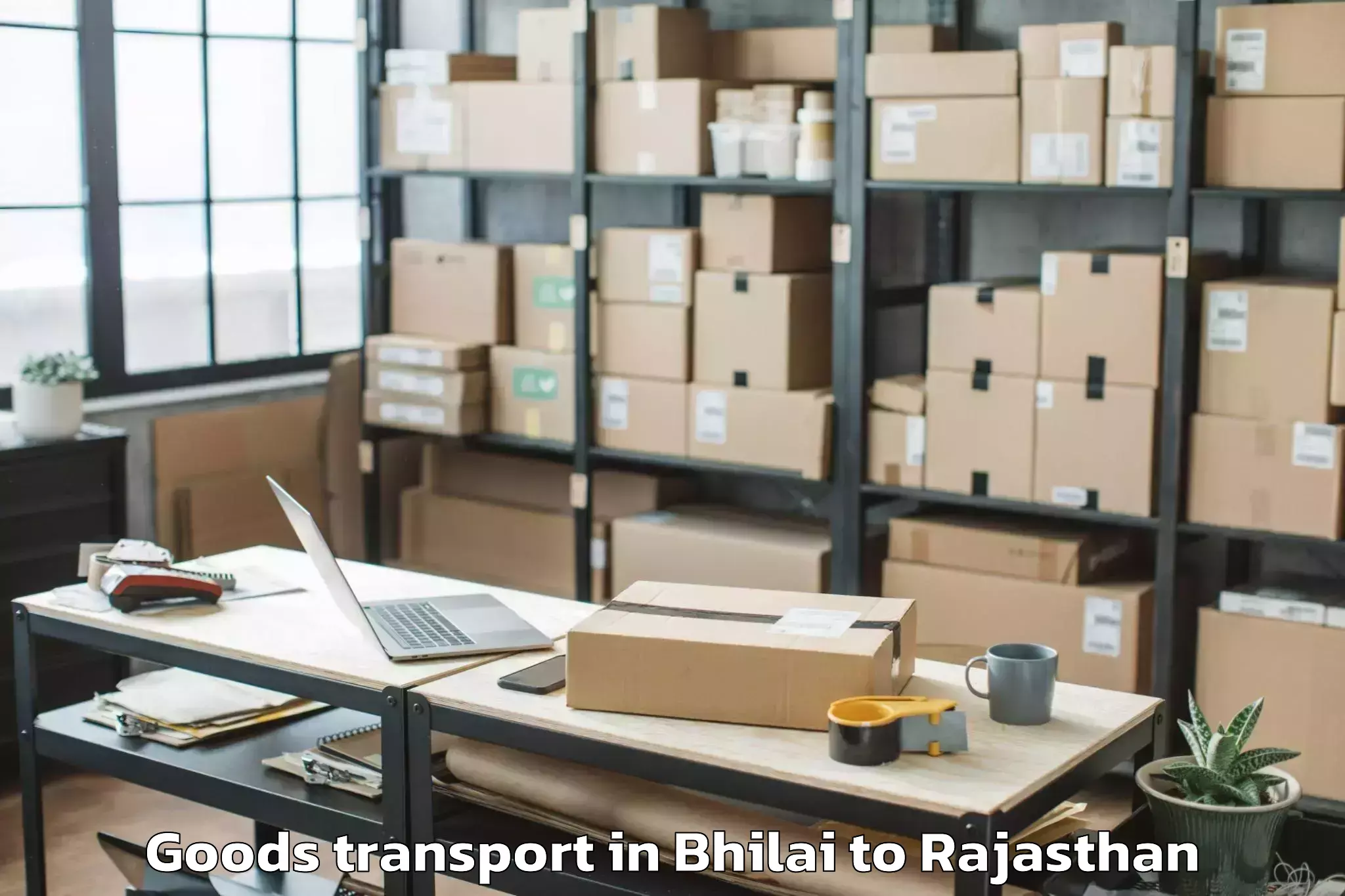 Efficient Bhilai to Kapasan Goods Transport